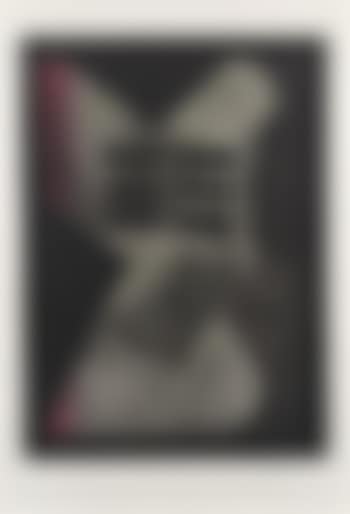 Untitled ,
1981 (preview)