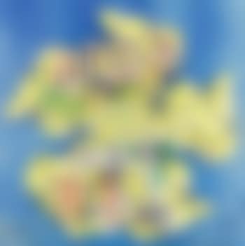 Come la coscienza si fa universo , (preview)