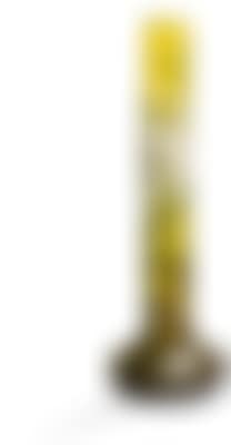 A tall cameo vase , (preview)