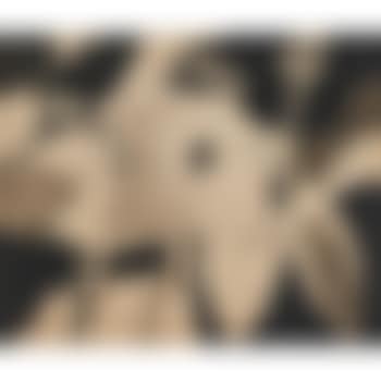 Untitled , (preview)