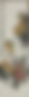[Untitled] , (preview)