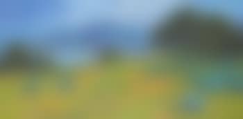 Lupine and poppies overlooking a lake , (preview)