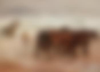 The life boat going out , (preview)