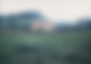 Untitled , (preview)