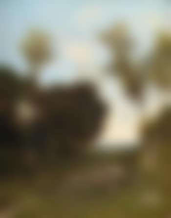 Landschaft Bei Barbizon ,
1898 (preview)