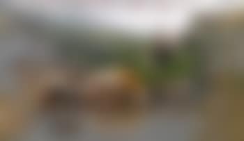 Viehtrieb Im Hochgebirge , (preview)