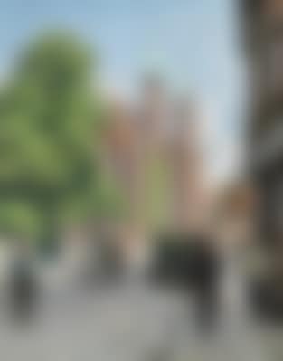 A summer day in Skolegade in Aarhus with the Cathedral in the background , (preview)