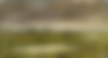 Parti fra Lyngby , (preview)