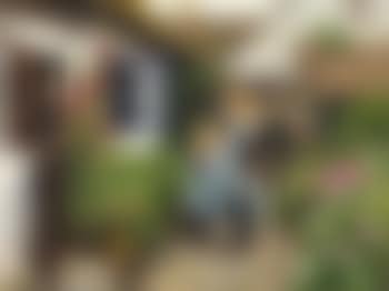 Two little girls in front of a thatched farm , (preview)