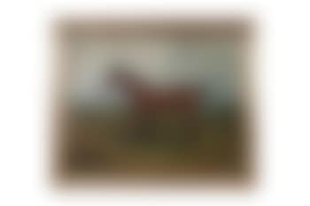 Study of a Bay Gelding, in a Landscape , (preview)