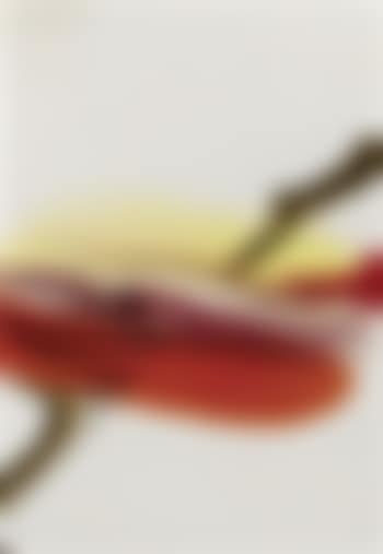 Sans titre , (preview)