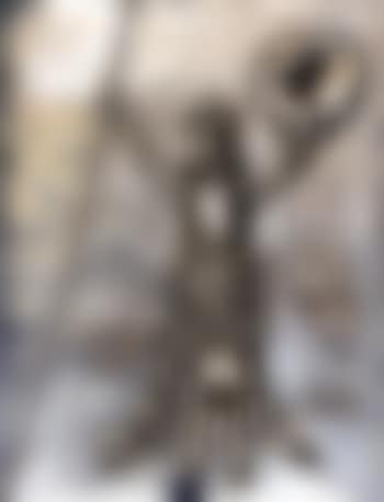 Don Quixote ,
1980 (preview)