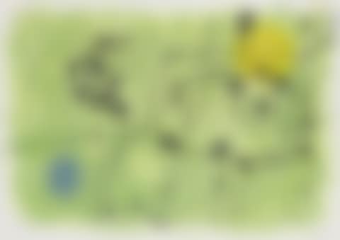 Pl. VI, from Le Lézards aux plumes d'or (preview)