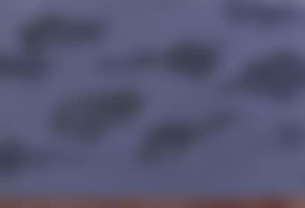 Composizione (preview)