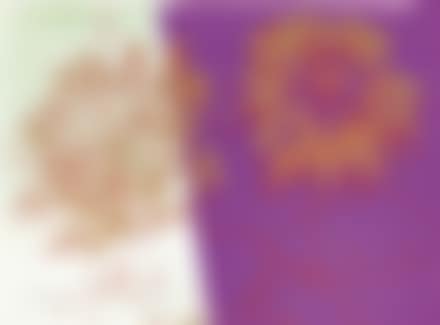 Kiku (preview)