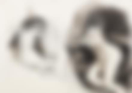 Nudi (preview)