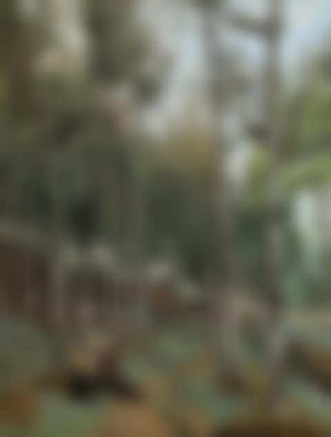 PAYSAGE BRETON (preview)