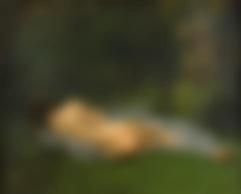 LA DORMEUSE (preview)