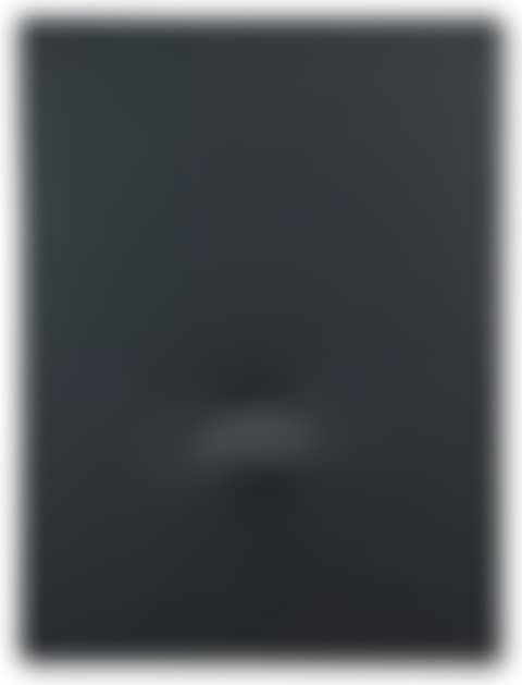 UN OVALE GRIGIO (preview)