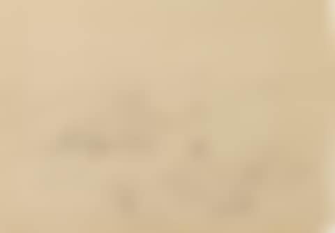 WING OF A GREY-LEG GOOSE; WING OF AN EAGLE; HEAD OF A PHEASANT; CURLEW; RED-LEGGED PARTRIDGE; PINTAIL DUCK; SNIPE; GREY LEG GOOSE; PTARMIGAN (preview)
