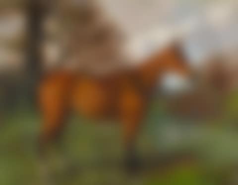 A HUNTER IN A MEADOW (preview)