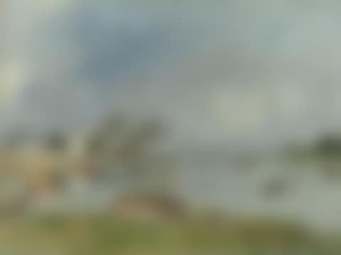 La Seine à Charenton (preview)