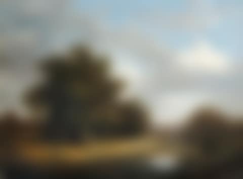 Une forêt à Avenches (preview)