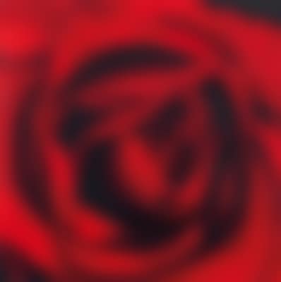 Untitled (November) (preview)