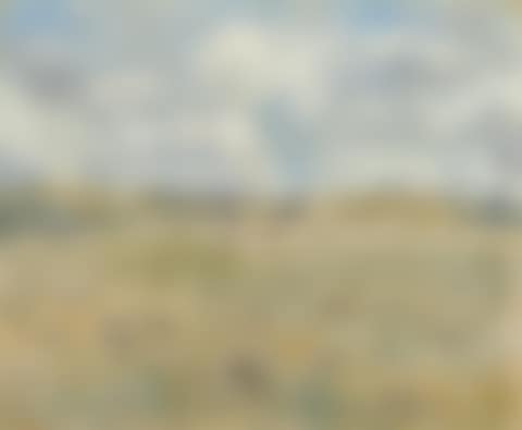Behind Rye, Victoria (preview)