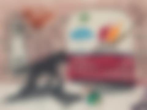 Steamship and Wolf (preview)