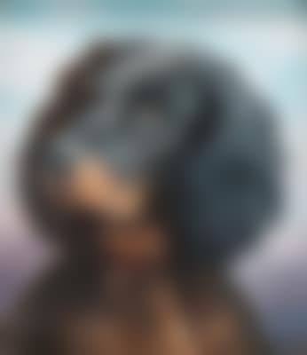 A Questioning Look (preview)