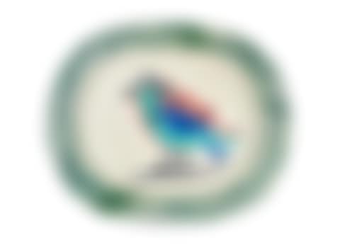 Polychrome Bird (preview)