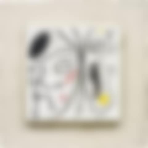 Untitled (preview)