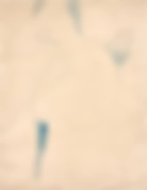 Blue Odalisque (preview)
