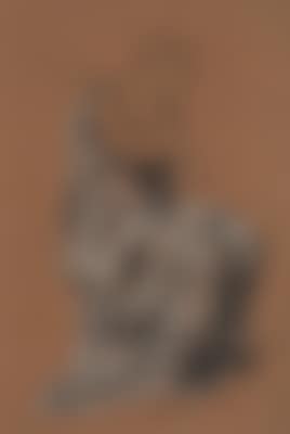 A drapery study for 'The Love Potion' (preview)