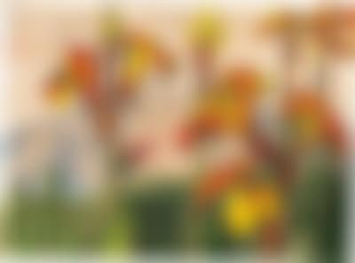 Blooming plants before blue mountains (preview)