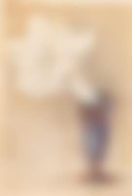 Datura Japonica (preview)