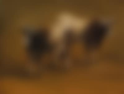 Grazing cattle (preview)