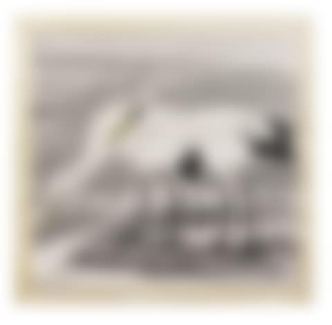 Couple de grues (preview)