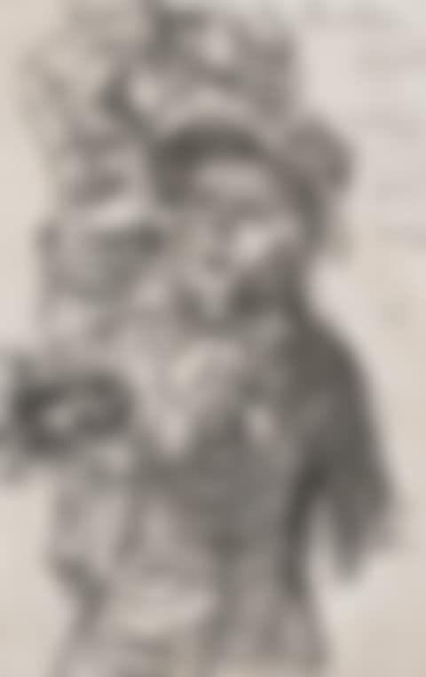 PORTRAIT OF A YOUNG LADY (preview)