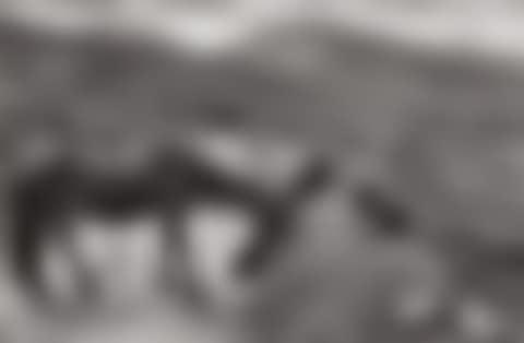 County Kerry, Ireland (preview)