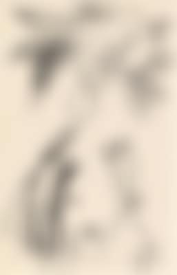 A greeting card (preview)
