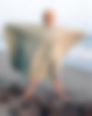 Marilyn Monroe on the beach (preview)