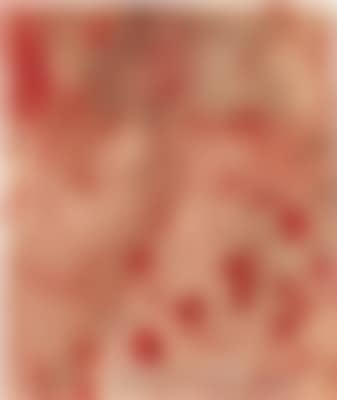 Relic of artistic action, accompanying a portfolio (?) (preview)