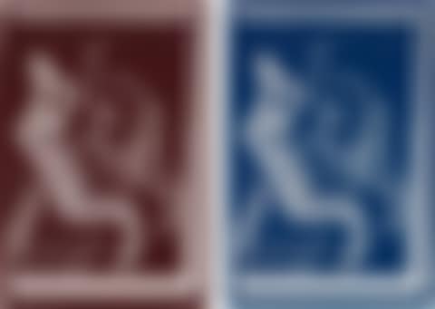 Doppelprofil (Double Profile); and Doppelprofil (Double Profile) (preview)