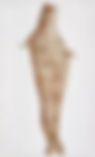 Robbe (Seal) (preview)