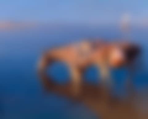 The Nile at Luxor (preview)