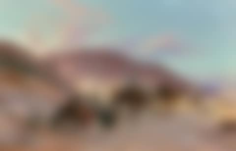 A caravan in the desert (preview)