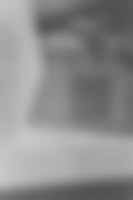 ohne Titel (224) (preview)