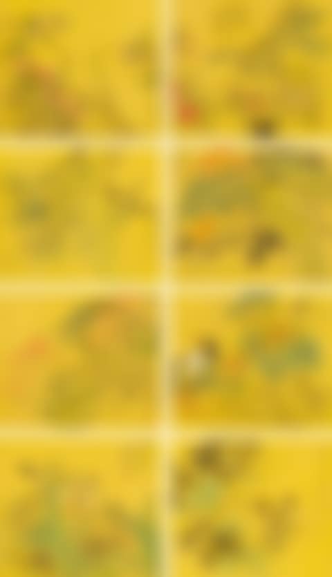 Birds And Flowers (preview)
